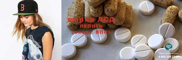 PSILOCYBIN Алзамай