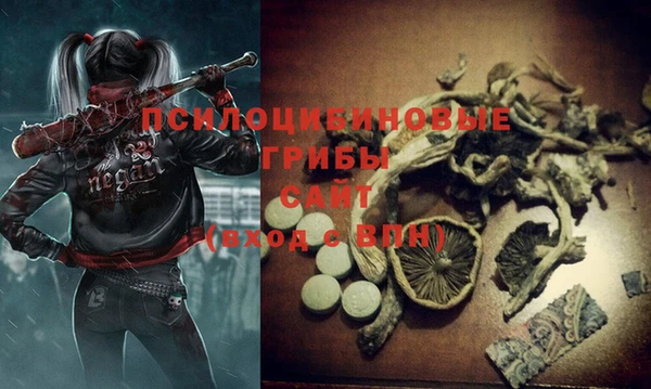 PSILOCYBIN Алексеевка
