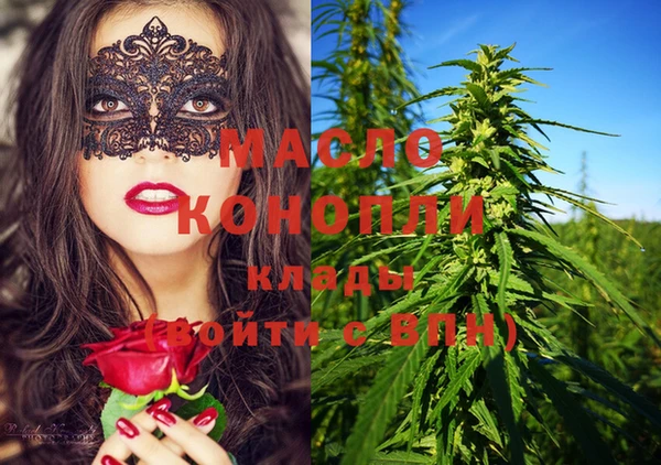 шишки Абаза
