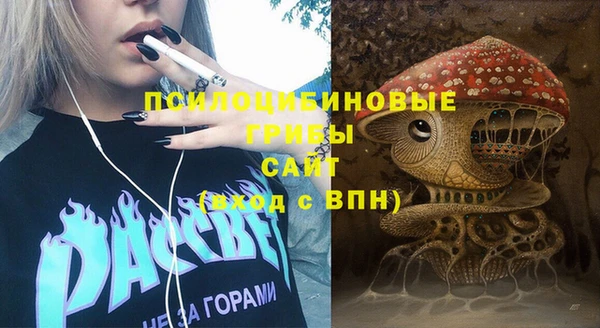 PSILOCYBIN Алзамай