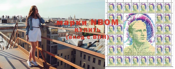 PSILOCYBIN Алзамай