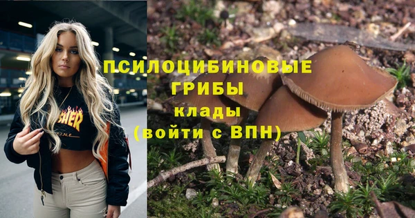 PSILOCYBIN Алексеевка
