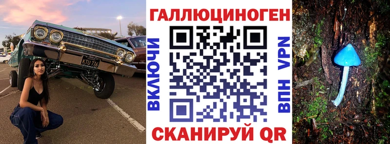 Псилоцибиновые грибы Psilocybe  Лысьва 